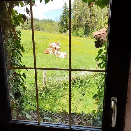 Holiday home Maison De Charme En Livradois