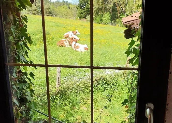 Hébergement de vacances Maison De Charme En Livradois
